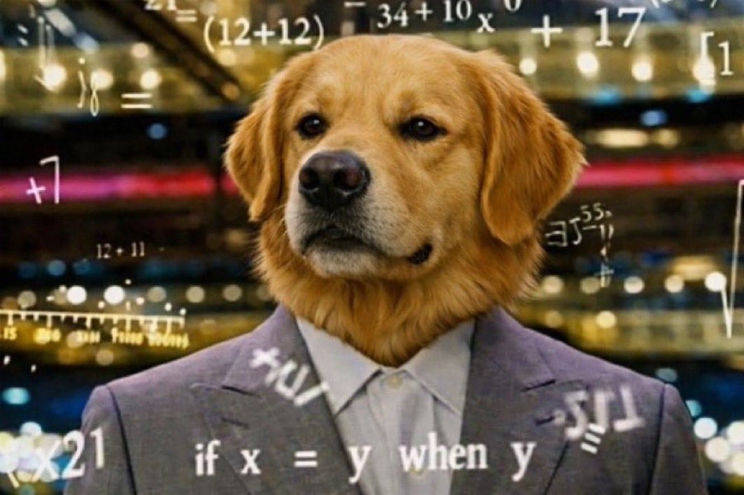 Colton (gen wealth arc) tweet media