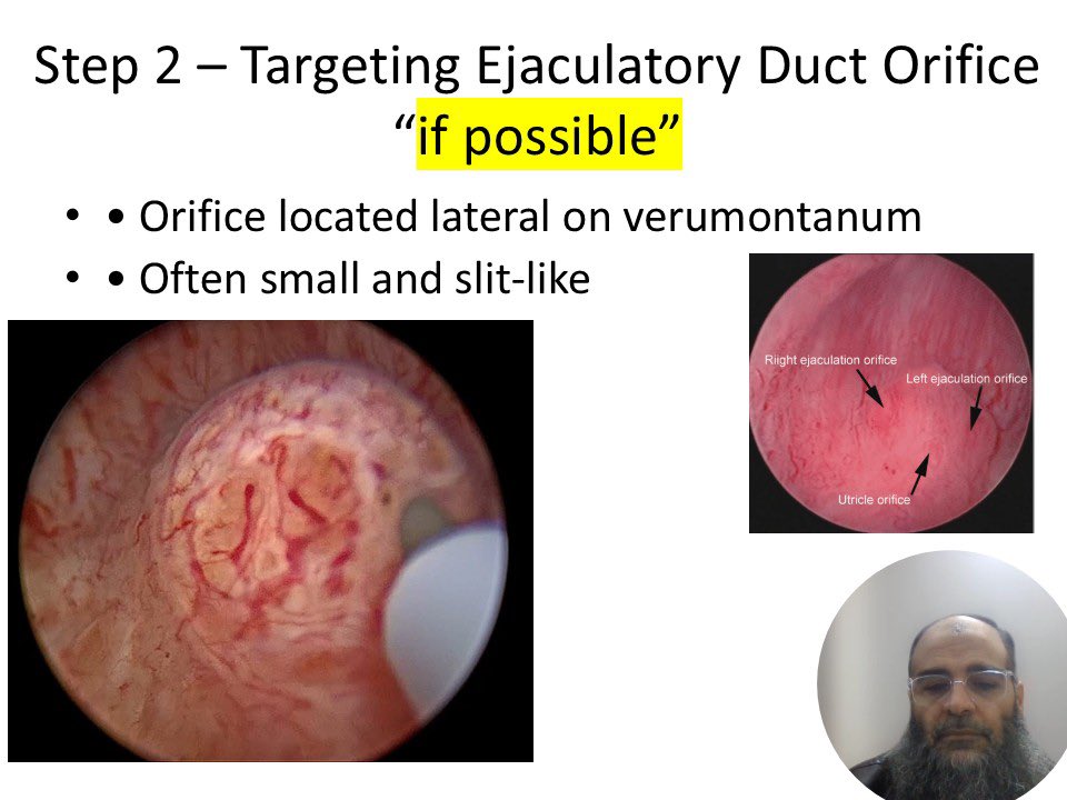 Mohamed_omar tweet media