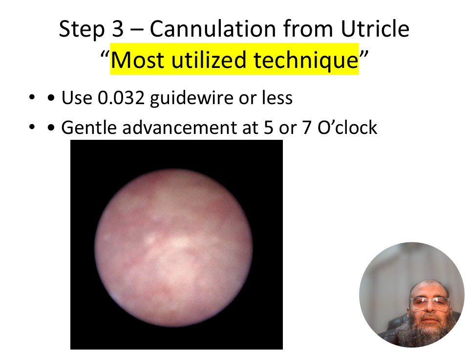 Mohamed_omar tweet media