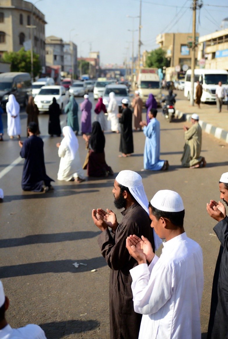 Dave James 🇬🇧🇪🇺🇪🇪 tweet media