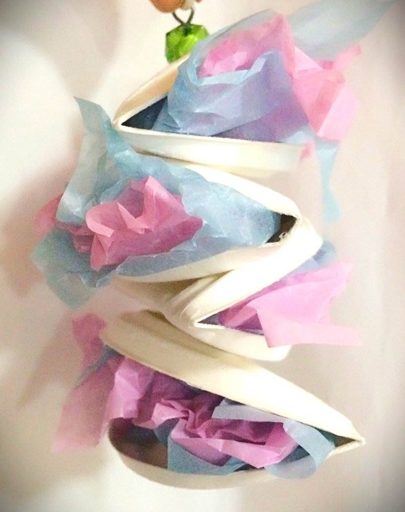 P&C LEON 小鳥専門店 tweet media