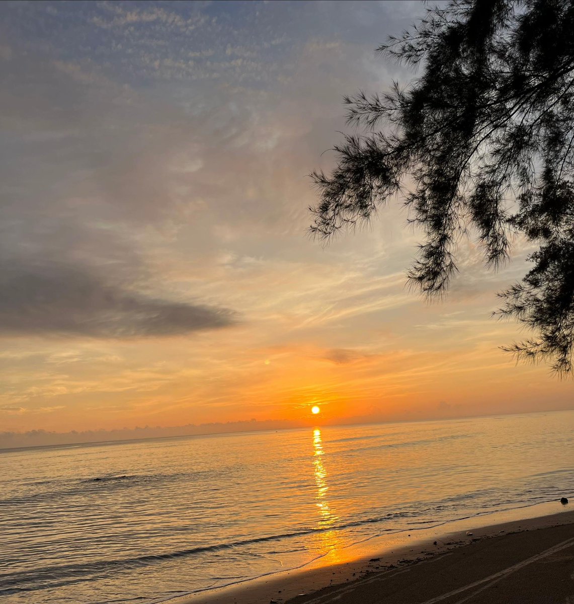 Saka | NyambeX 🪓 tweet media