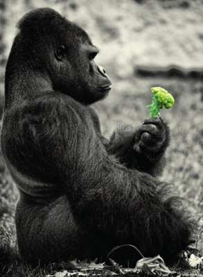 The Postcard Store tweet media