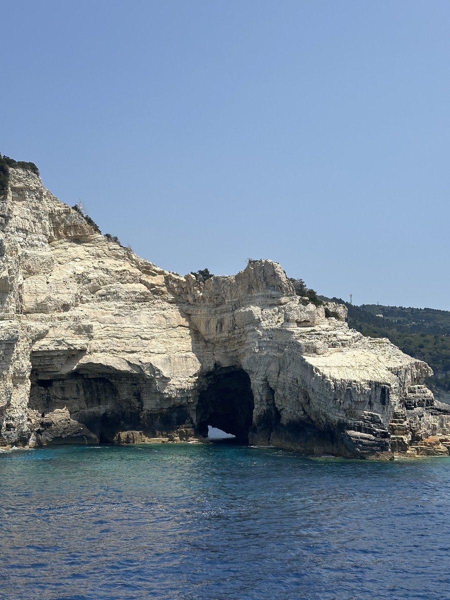 FS7 🌴 tweet media