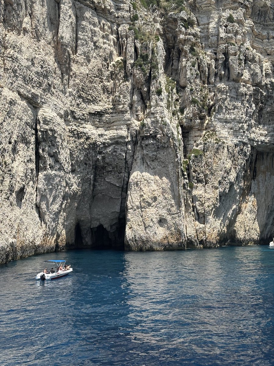 FS7 🌴 tweet media