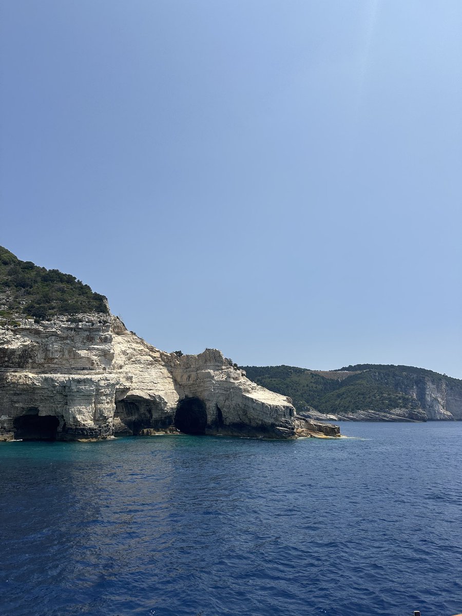 FS7 🌴 tweet media