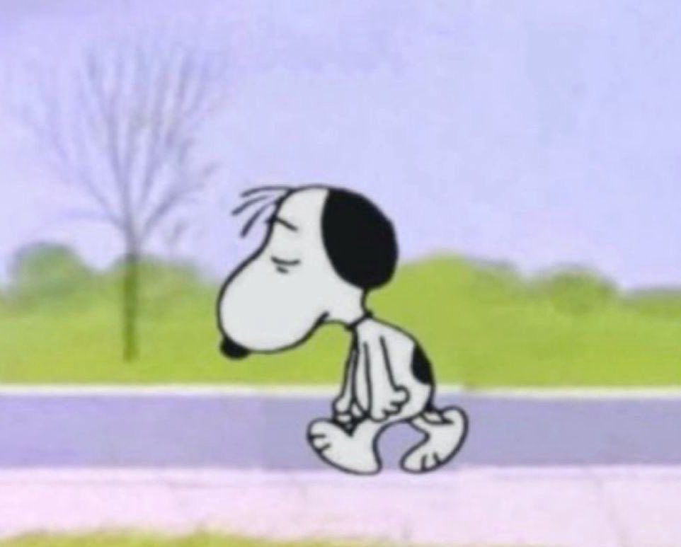 lia ⚖️ tweet media