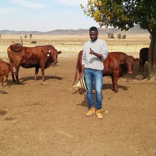 agribusinesszw's tweet photo. Meet a footballer who invested most of his money into farming. His farm includes cattle, pigs, sheep, spinach, and maize.

Well done, Kgotso!

In a world where many footballers invest heavily in cars and flashy lifestyles, he chose a different path. He saw life after football early and decided to build wealth through farming.