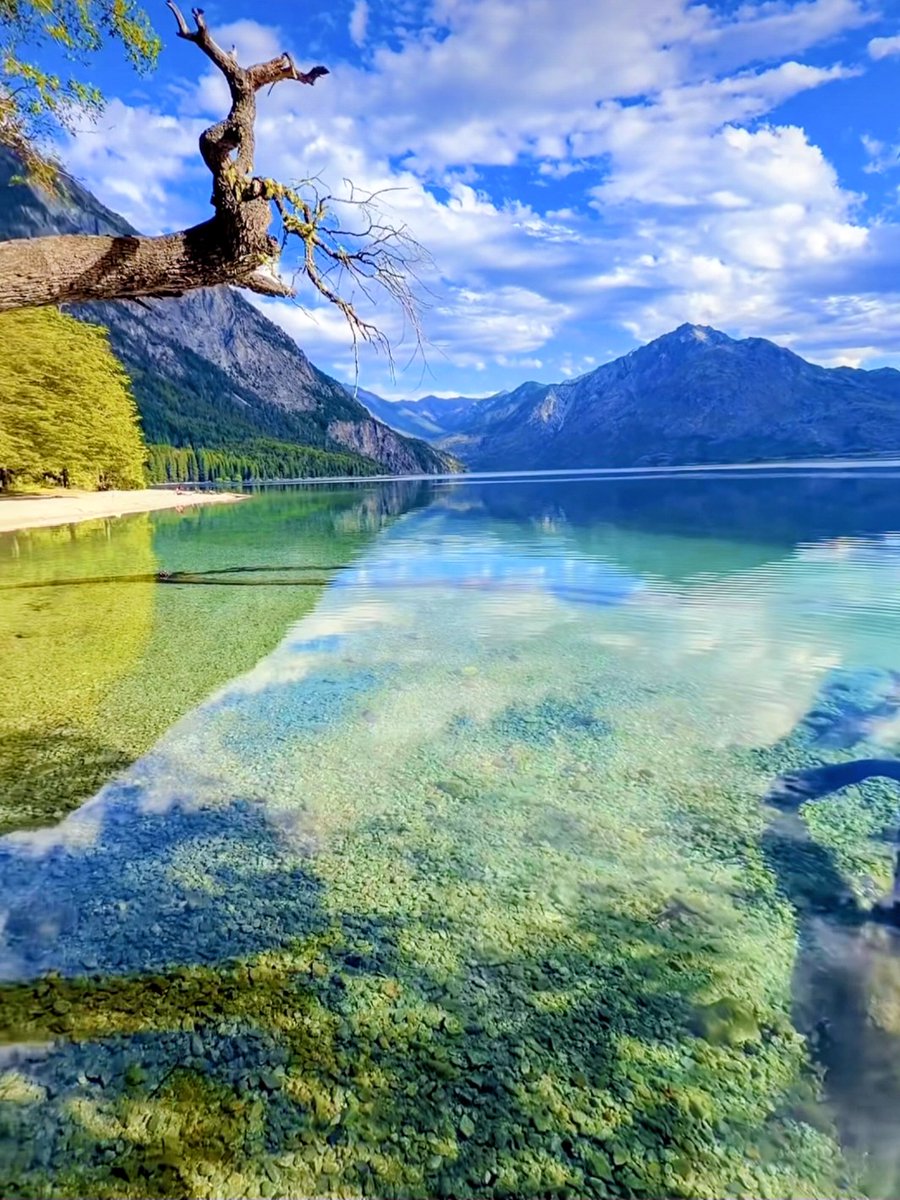 Lili Sur tweet media