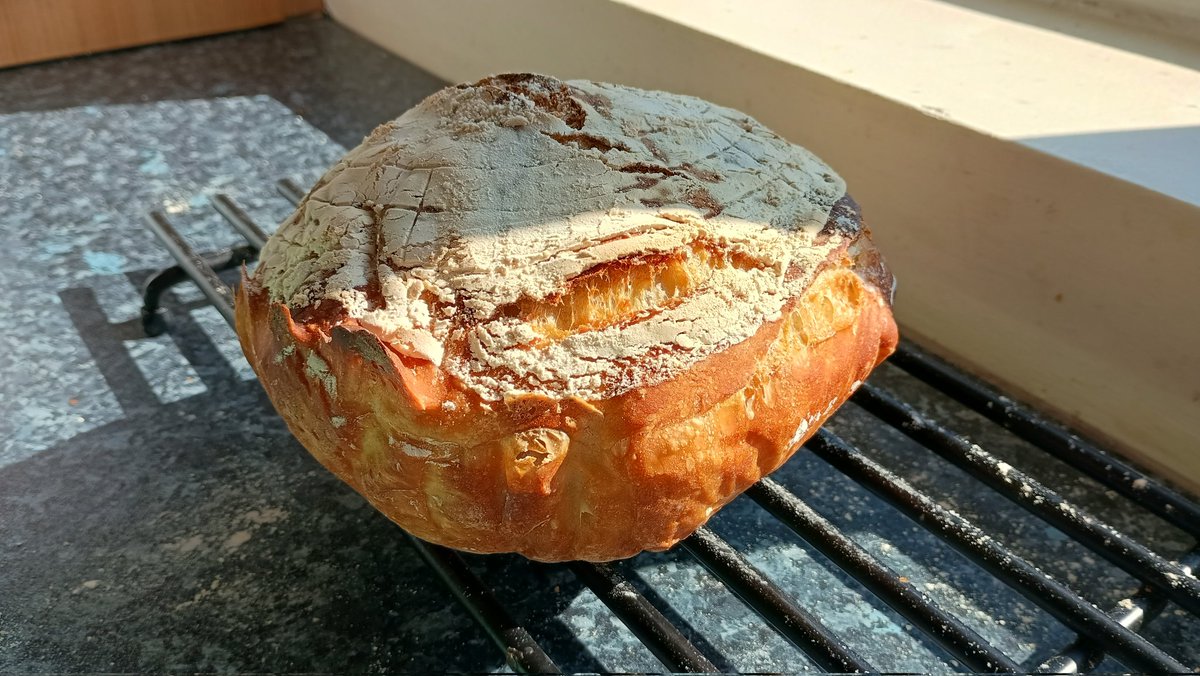 BrexitDuck tweet media