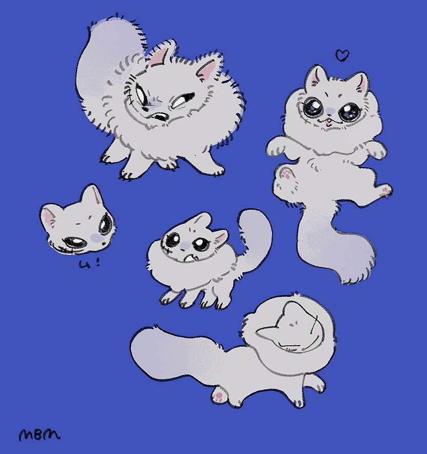 𝘔𝘉𝘔 tweet media