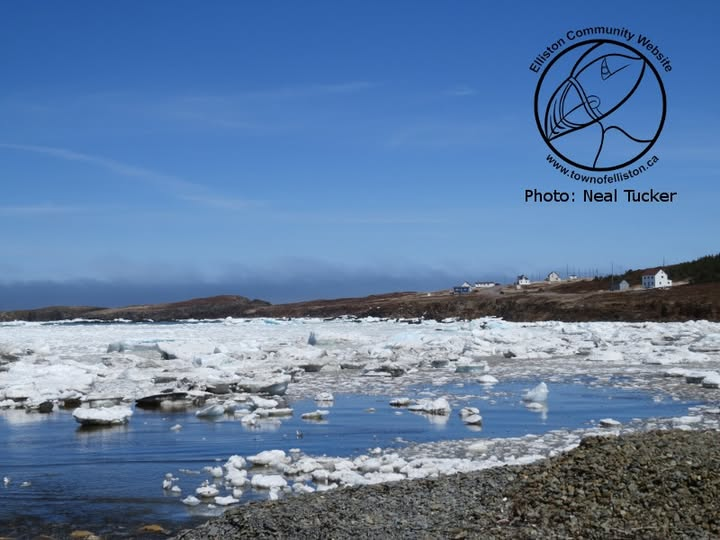 Town of Elliston tweet media