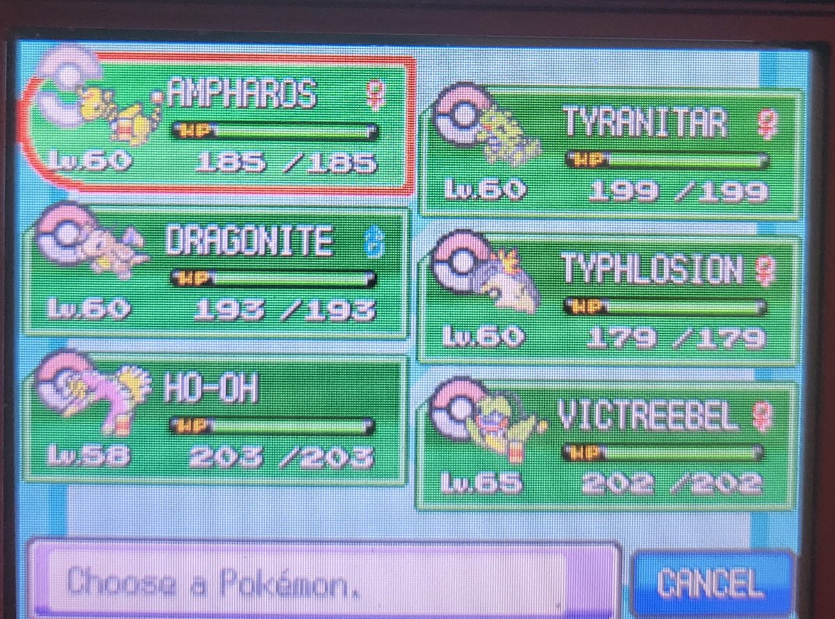 bean3517's tweet photo. Replaying Heartgold atm and my team is Stacked (raised Tyranitar and Dragonite from base forms, shiny hunted Ho-Oh &amp; Typhlosion) 🥰 https://t.co/SMf7f7Hvgl
