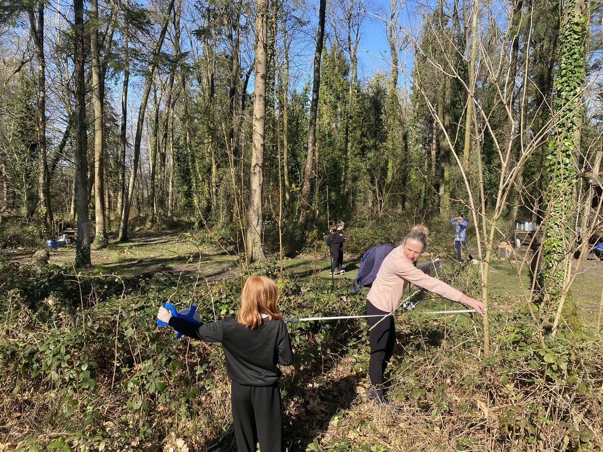 Ysgol Sychdyn tweet media