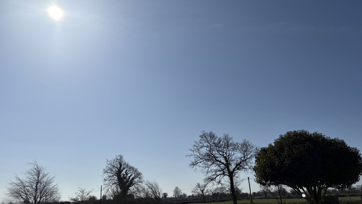 Rory McEvoy tweet media