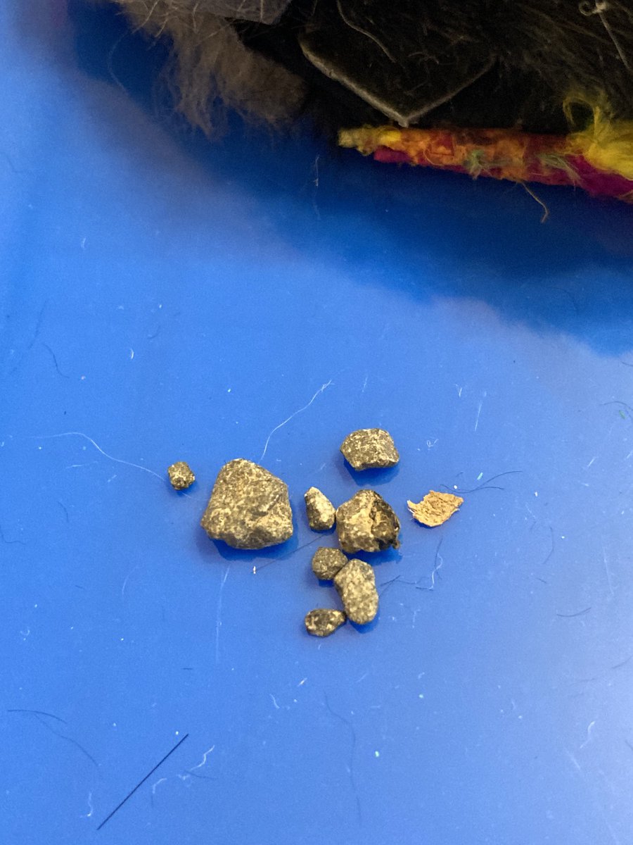 お米(よね)@z250sl&Z125 tweet media