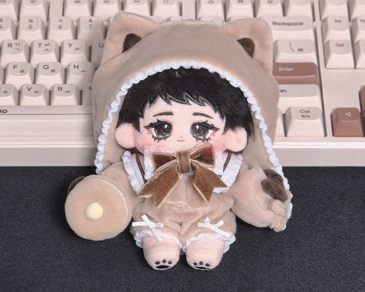 SLOW 침엽수 tweet media