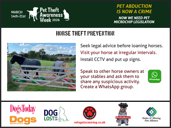 Pet Theft Awareness tweet media