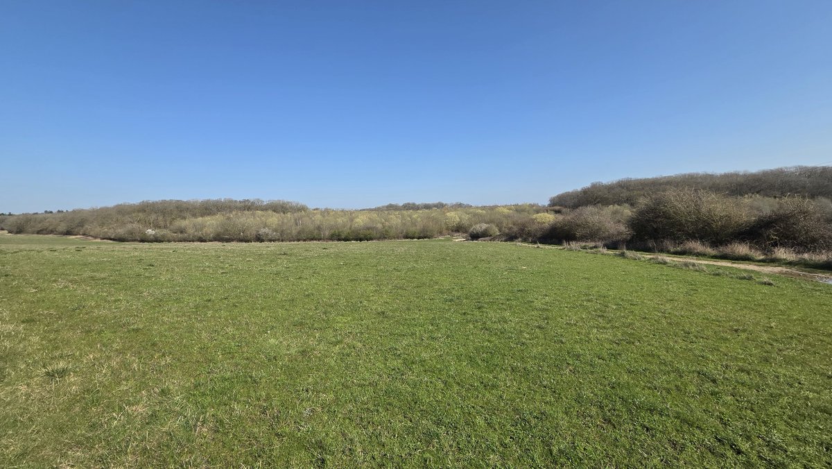 Chris Manton tweet media