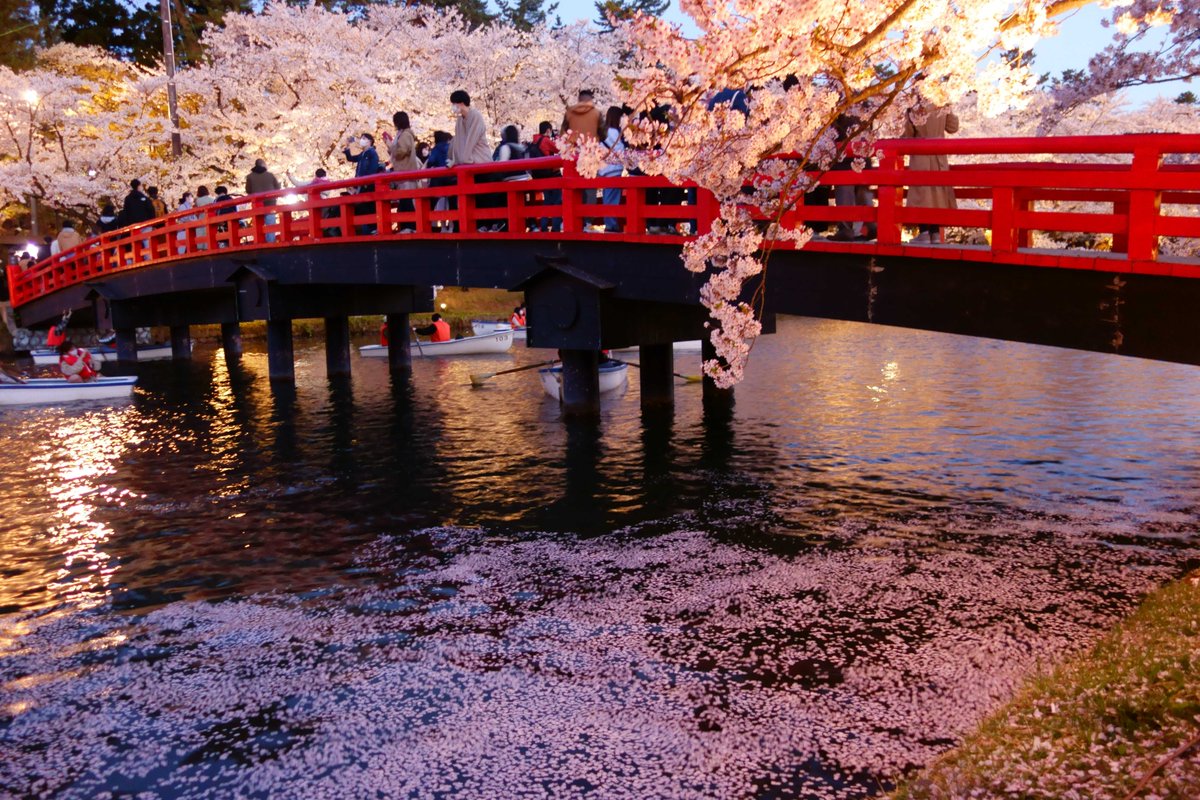 あおもりきのこ tweet media