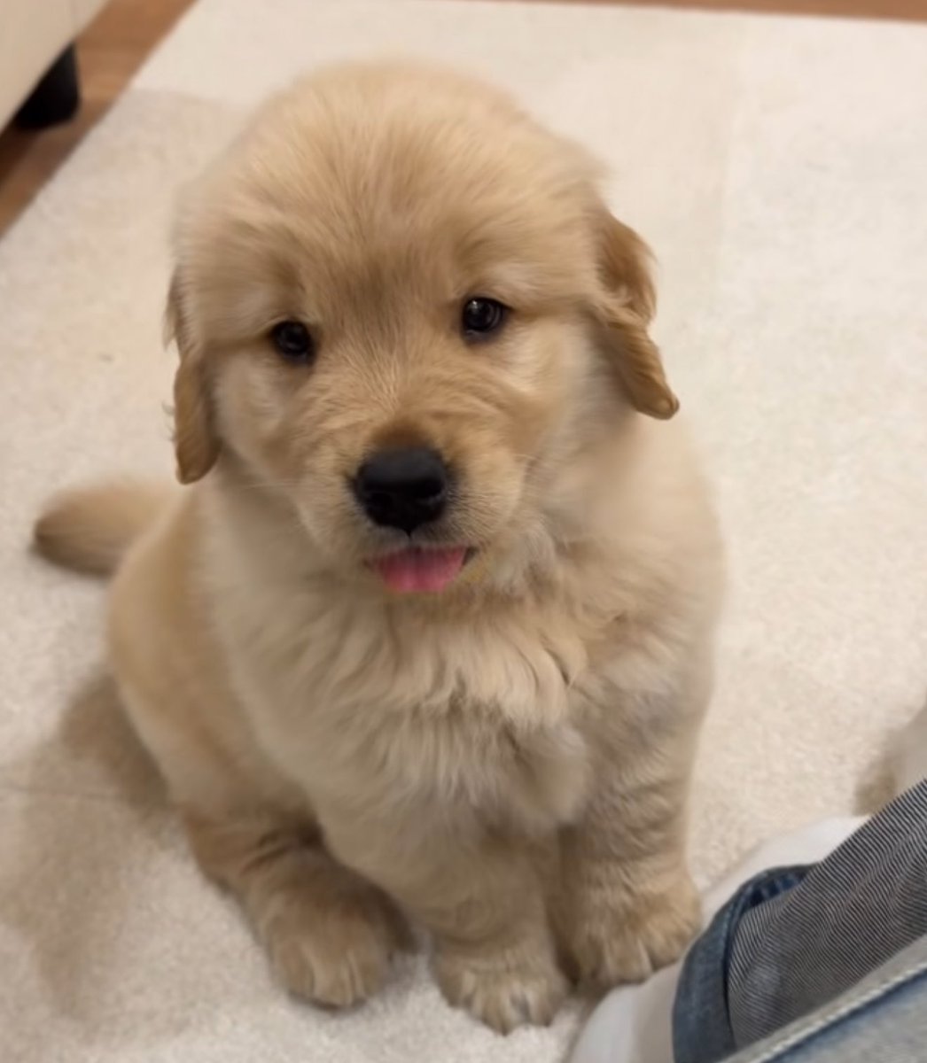 takemybear 🐶 tweet media