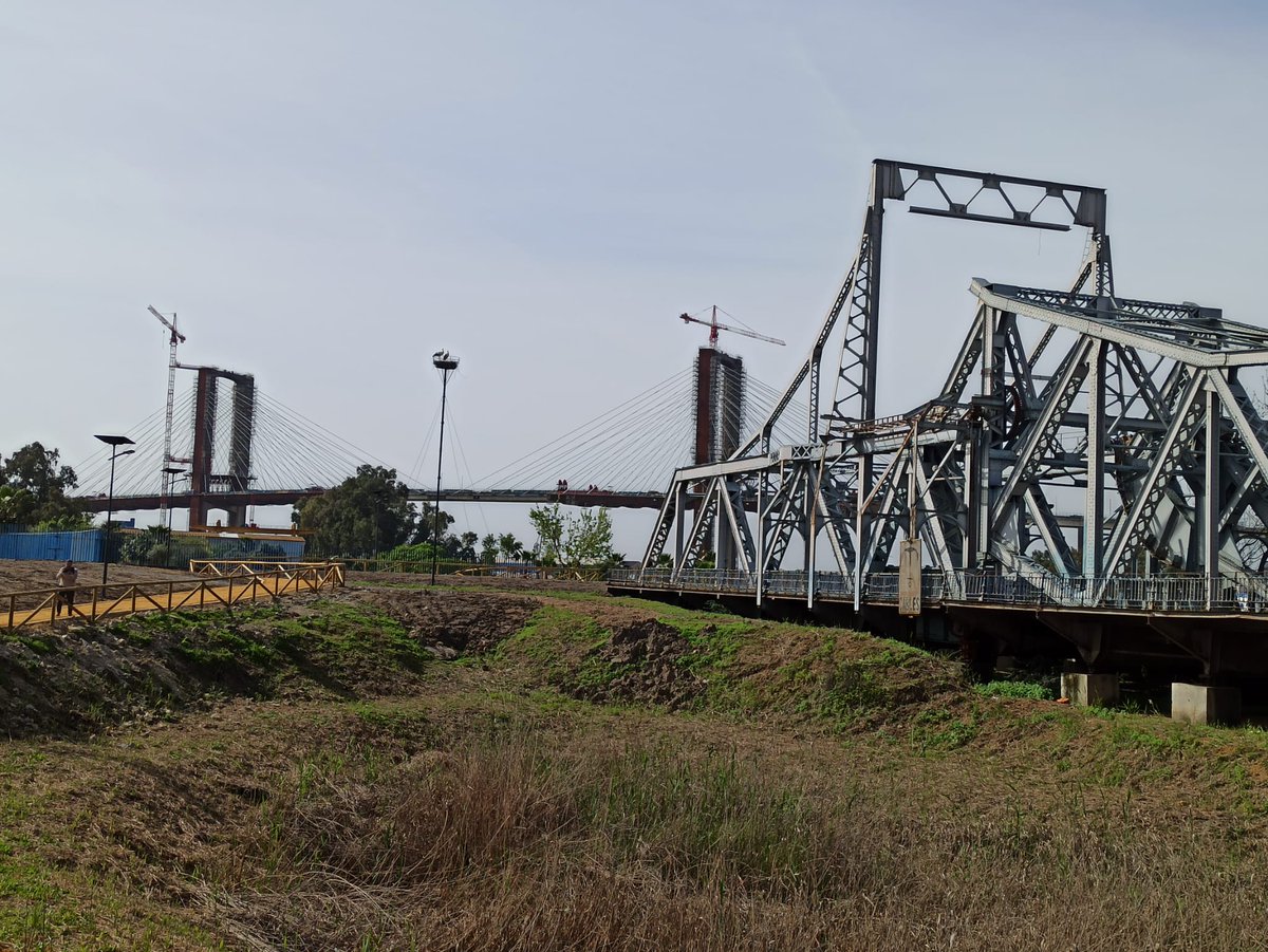 Fernando Barroso tweet media