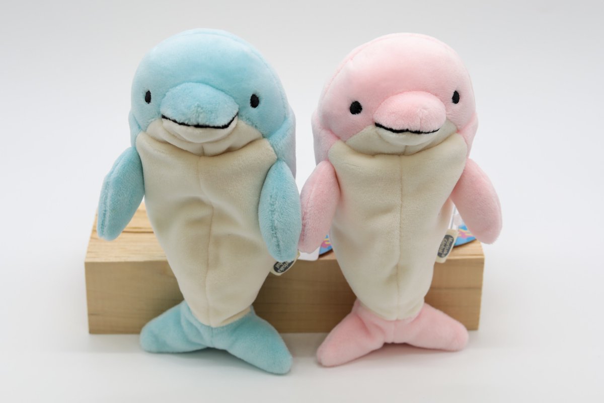 にっこり笑顔と いやされる手ざわりに なんだか落ち着くイルカの