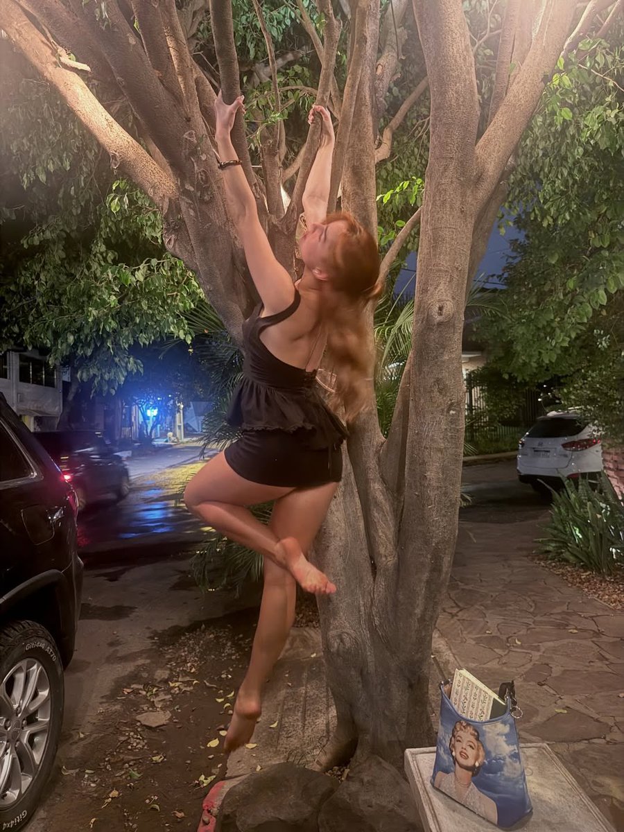 Lorde en el Mercado 4 y Addison Rae colgada del árbol 🤣🤣🤣