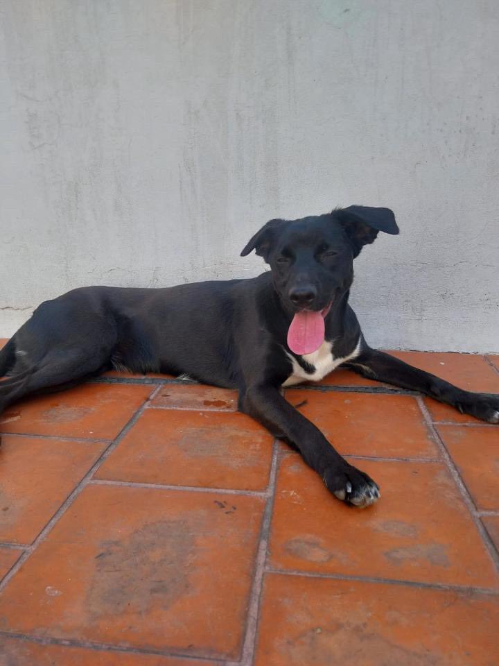 laura santa cruz tweet media