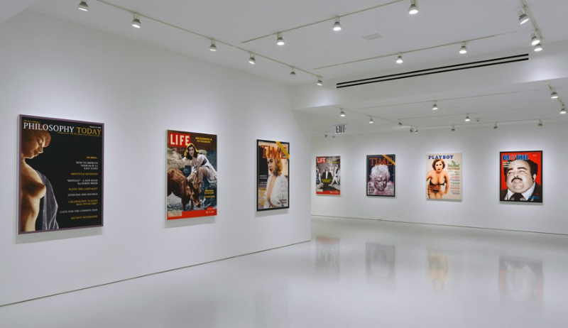 nightly moth tweet media