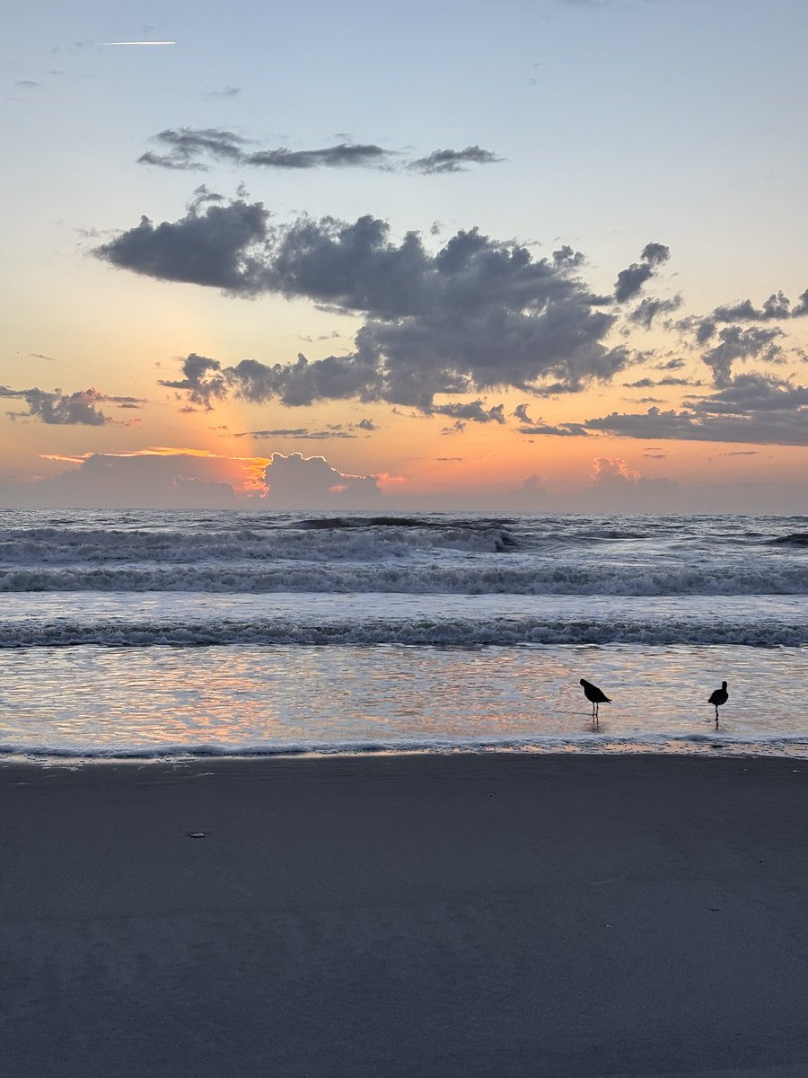 Jenn 🌅🐬🌊☘️ tweet media