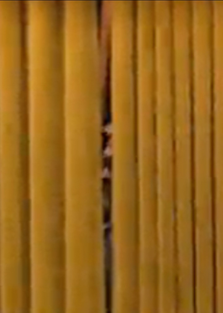 Cap'n 🌻 tweet media