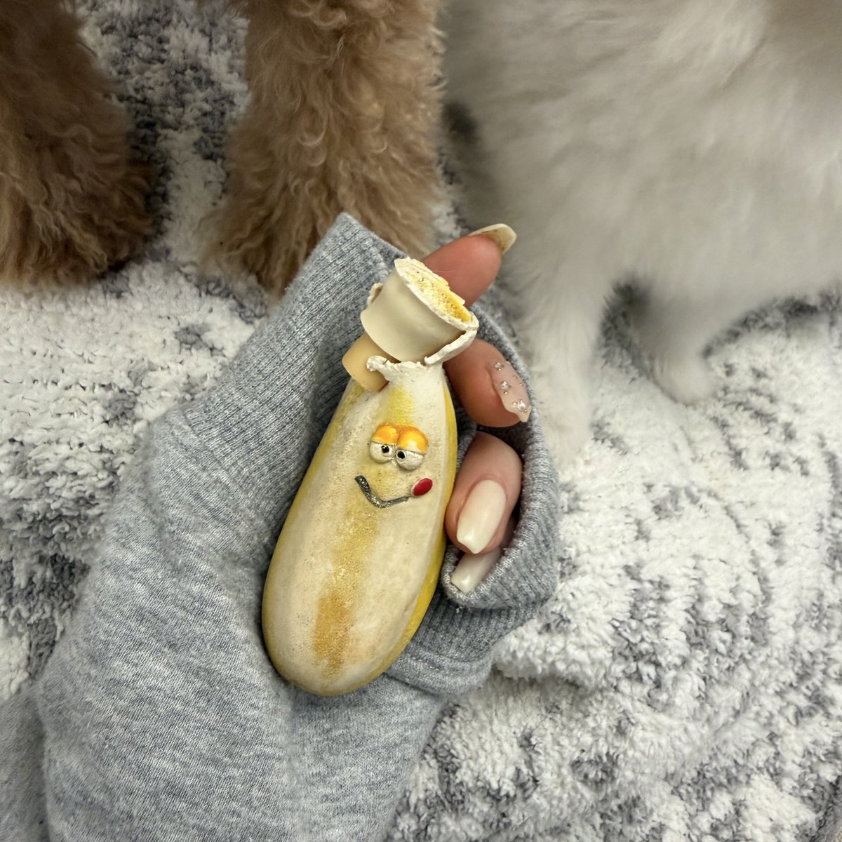 おにゃんこぽんぽこりん🤍🪽 tweet media