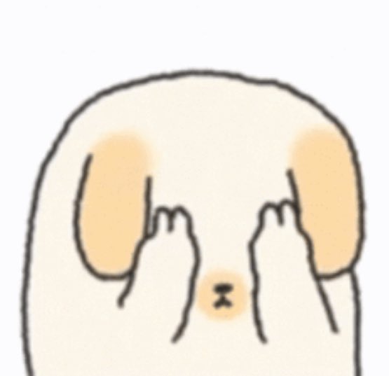 고양이 tweet media