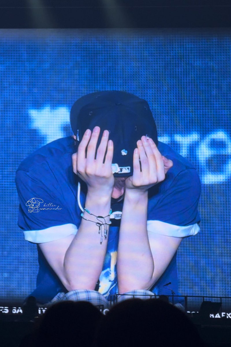 고양이 tweet media