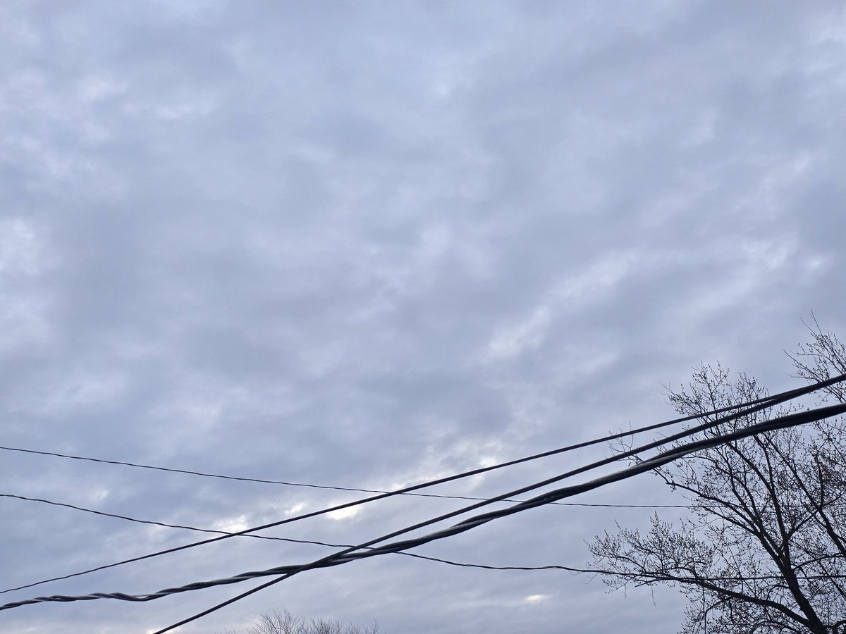 Jesse Lynn♥️ tweet media