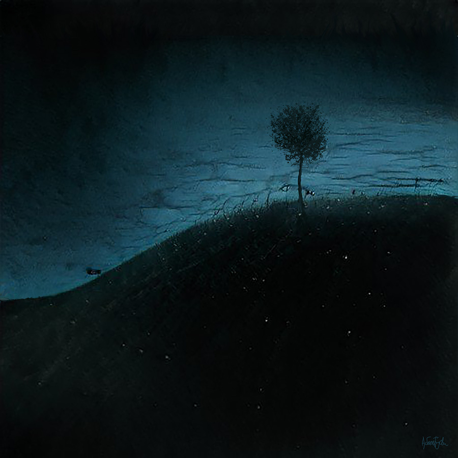 Adam Fryda tweet media