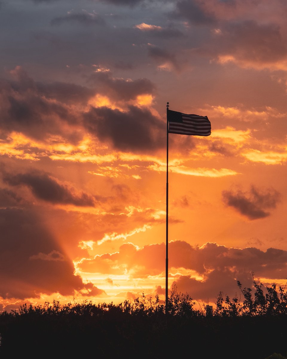 Max Evans tweet media