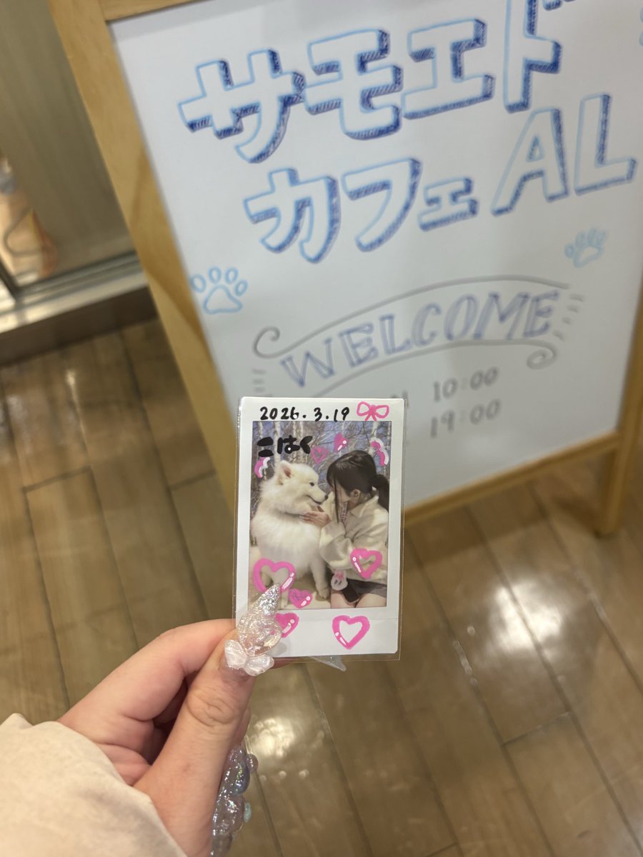 ㍿ヮン🐾 tweet media