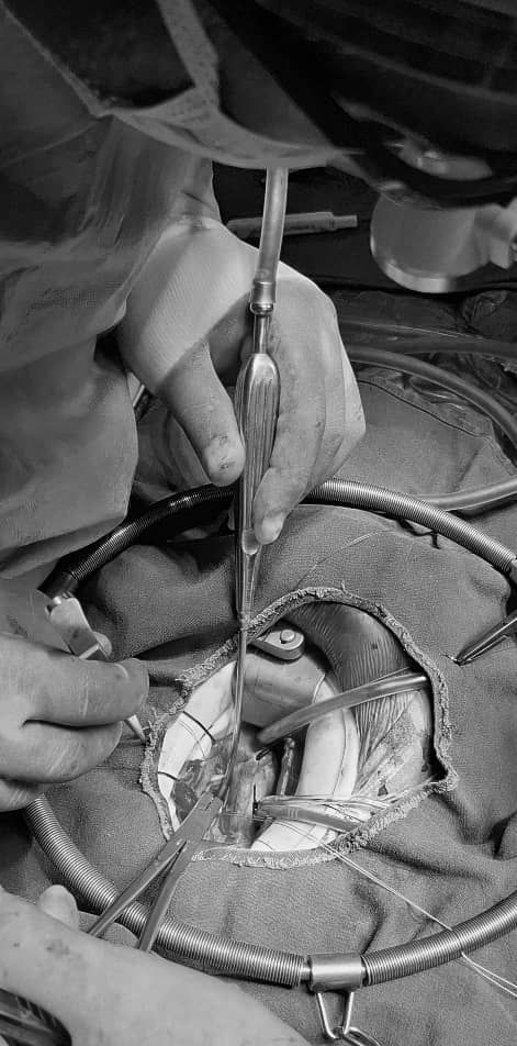 King Faisal Hospital Rwanda tweet media