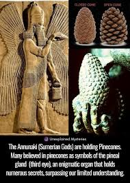 Rufus G Perkins III tweet media