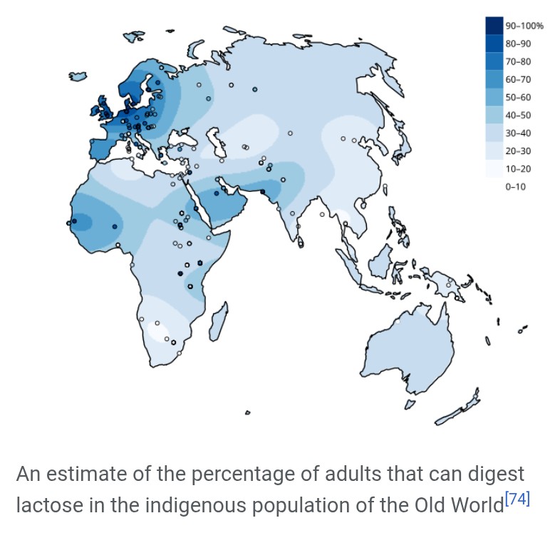 Wylfċen tweet media
