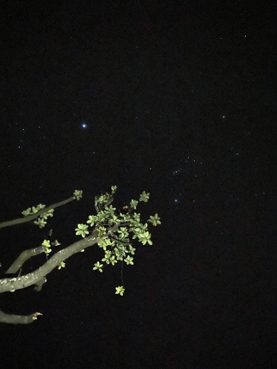 duality_cherry's tweet photo. malam Nyepi. https://t.co/d5wRUIEjBV
