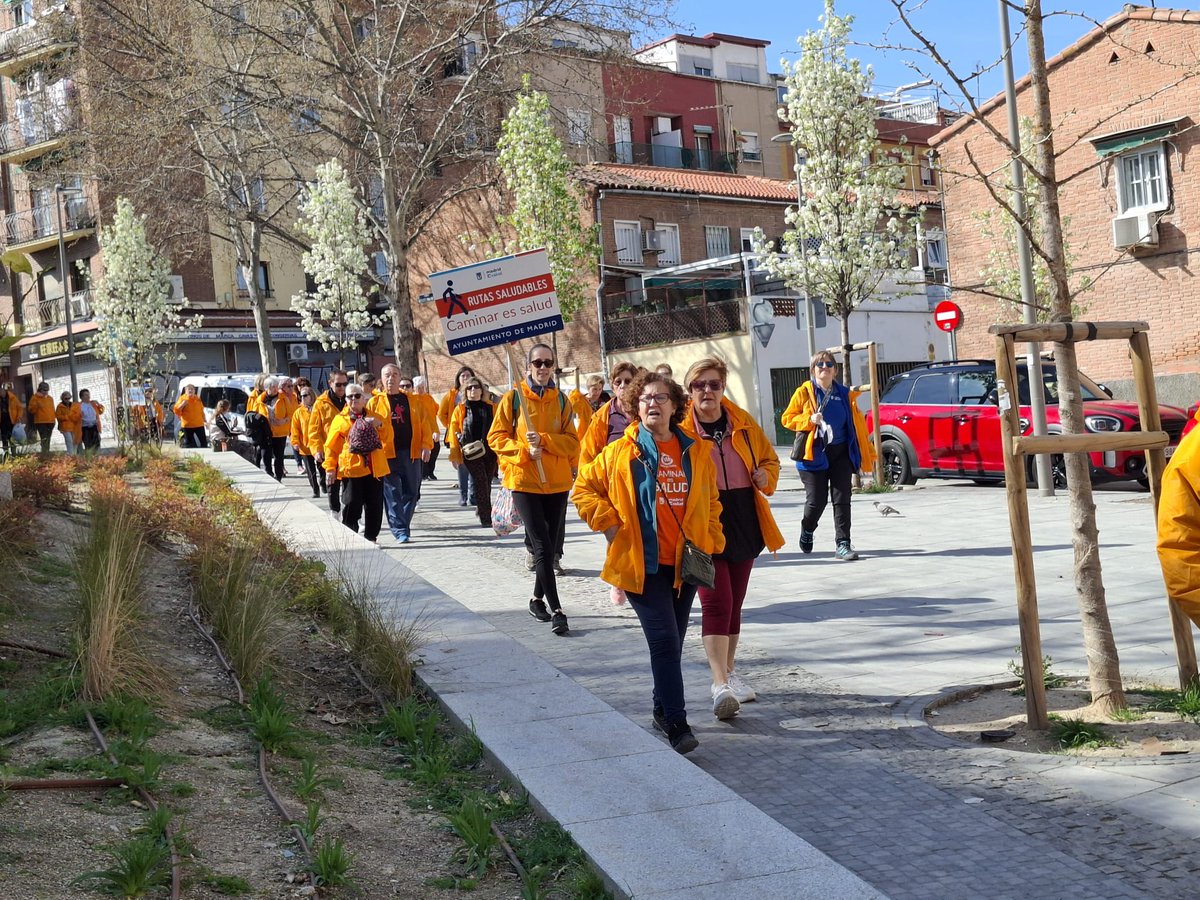 Madrid Salud. Ayuntamiento de Madrid tweet media