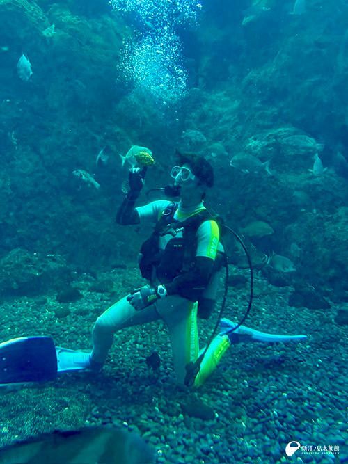 新江ノ島水族館 tweet media