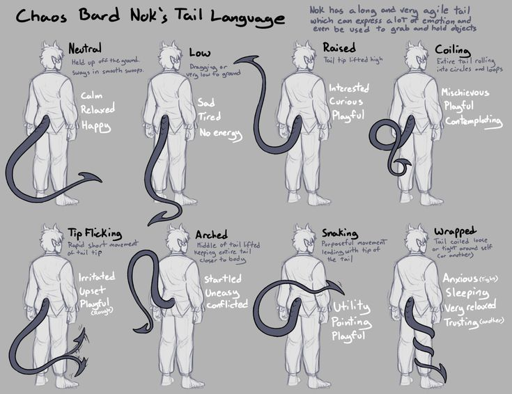 SrDesignMan tweet media