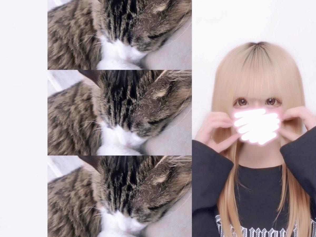 ゆる。 tweet media