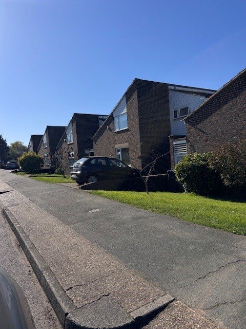 Potter Raper tweet media