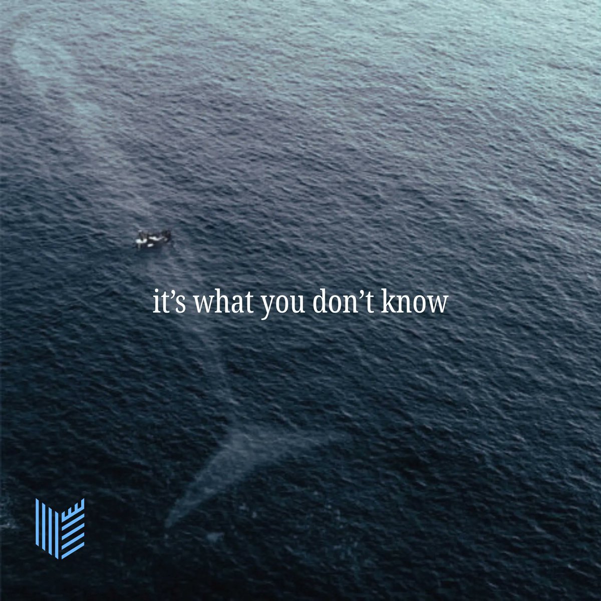 Borg Security tweet media