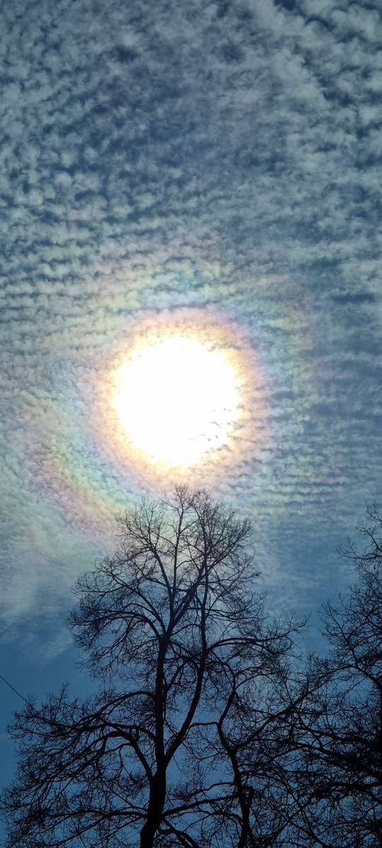 3DDaniel tweet media